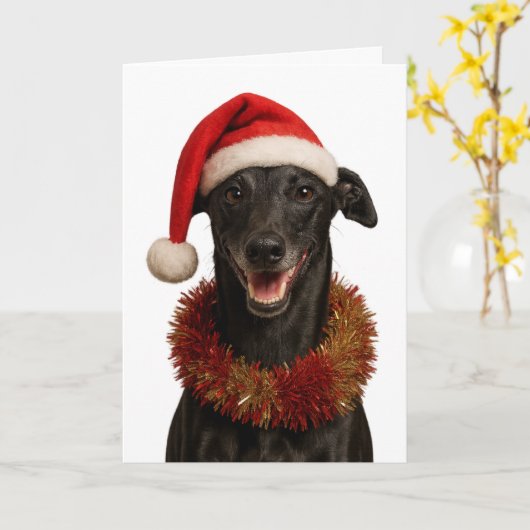 Black whippet in a Santa hat Christmas card カード (黄色い花)