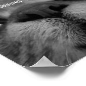 Black&White Cat顔ポストカード ポスター (角)