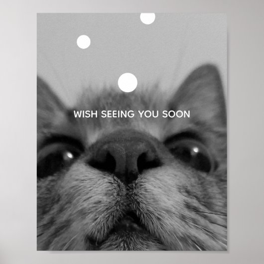 Black&White Cat顔ポストカード ポスター (正面)
