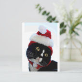 Black & White Cat Santa Hatフレームなし離れの外観 シーズンポストカード (スタンド正面)