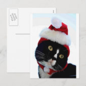 Black & White Cat Santa Hatフレームなし離れの外観 シーズンポストカード (正面/裏面)