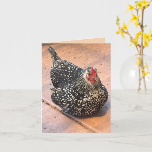 Black & White Chicken Resting Photo カード (黄色い花)