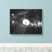 Black & White Dandelion in the Woods 11x14 キャンバスプリント (インサイチュ (ウッドフロア))