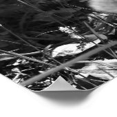 Black & White Dandelion in the Woods 16x20 ポスター (角)