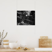 Black & White Dandelion in the Woods 16x20 ポスター (キッチン)