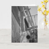 「Black & White Hamm's Brewery」誕生日カード カード (黄色い花)