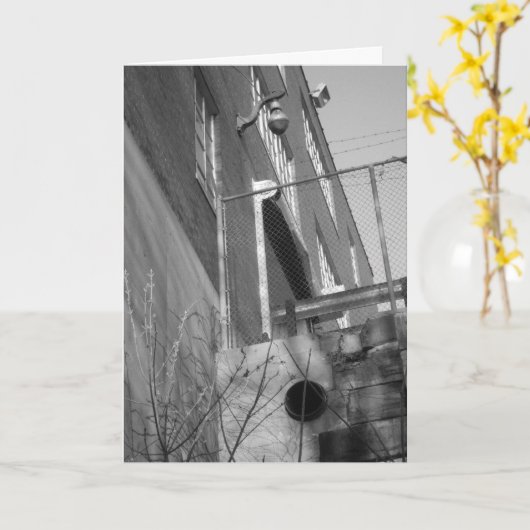 「Black & White Hamm's Brewery」誕生日カード カード (黄色い花)