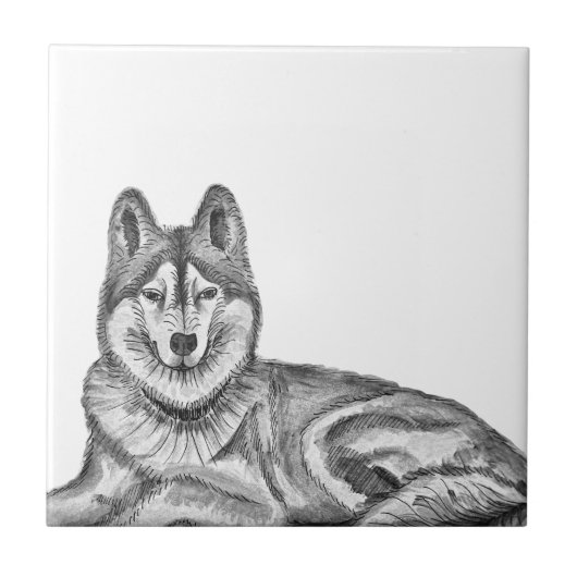 Black & White Ink & Watercolor Siberian Husky タイル (正面)