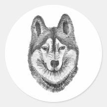 Black & White Ink & Watercolor Siberian Husky