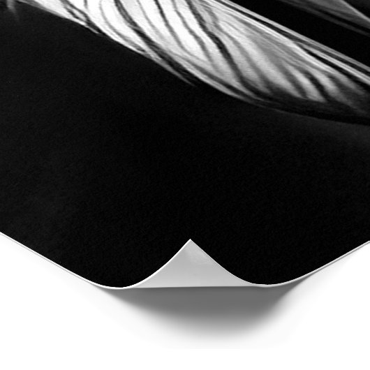 Black White Native American Indian Man profile ポスター (角)