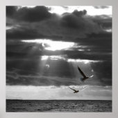 Black & White Ocean  ポスター (正面)