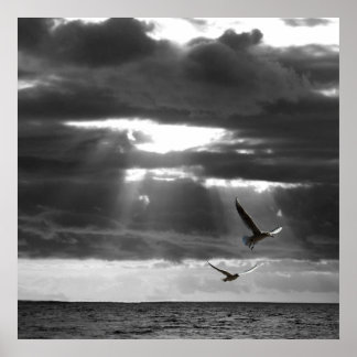 Black & White Ocean  ポスター