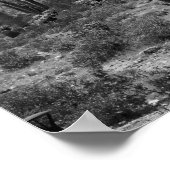 Black & White Saguaro Cactus in the Arizona 16x20 ポスター (角)