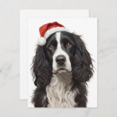 Black & White Spaniel Santa Hat Xmas Art シーズンカード (正面/裏面)
