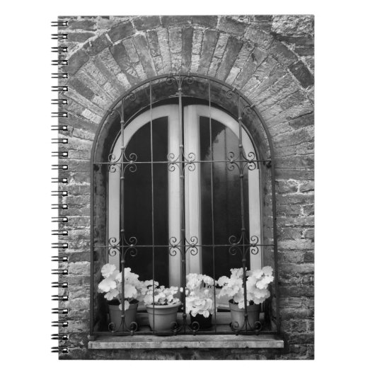 Black & White view of window and flower pots ノートブック (正面)