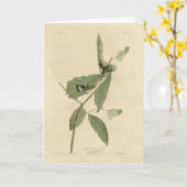 Black & Yellow Warbler, Audubon's Birds of America カード (黄色い花)