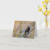 Blackbirdの自然写真 カード (黄色い花)