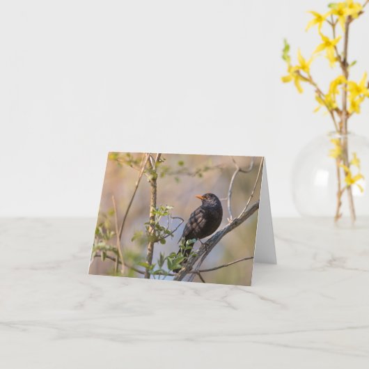 Blackbirdの自然写真 カード (黄色い花)