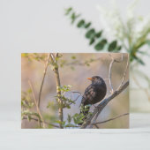 Blackbird自然フォトカード (スタンド正面)