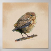 Blackbird Fledgling` ポスター (正面)