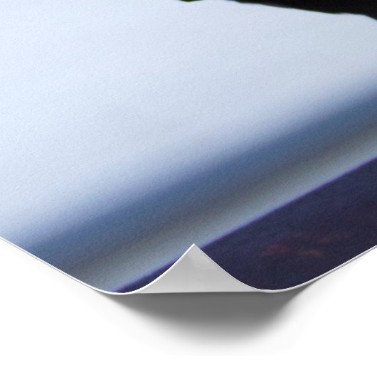 Blackbird Photo ポスター (角)