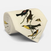 Blackbirds and Oriole（オードボンのアメリカの鳥） ネクタイ (ロール)