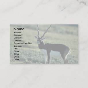 Blackbuckのカモシカ 名刺