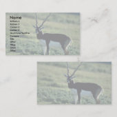 Blackbuckのカモシカ 名刺 (正面/裏面)