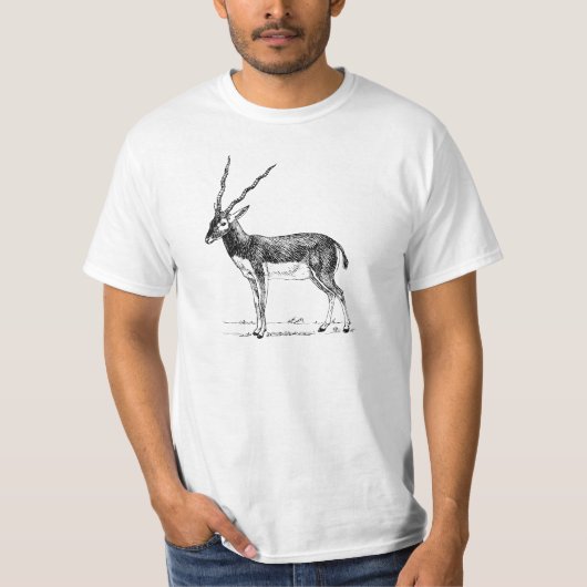Blackbuckのカモシカ Tシャツ (正面)