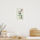 Blackburnian Warbler by Audubon Poster ポスター (キッチン)