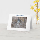 Blackeyedユキヒメドリ、挨拶、あなたの考えること カード (黄色い花)