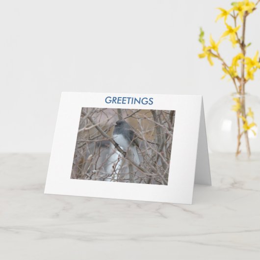 Blackeyedユキヒメドリ、挨拶、あなたの考えること カード (黄色い花)