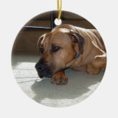 blackmouthの野良犬の置くこと セラミックオーナメント (正面)