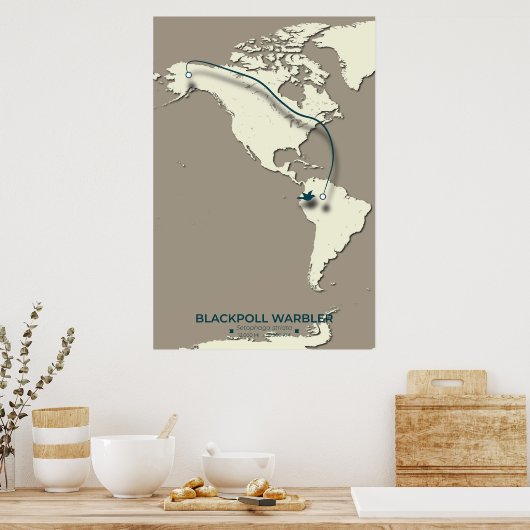 Blackpoll Warbler Migration Map – Minimalist ポスター (キッチン)