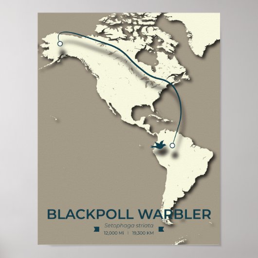 Blackpoll Warbler Migration Map – Minimalist  ポスター (正面)