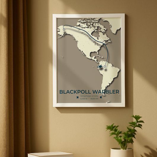 Blackpoll Warbler Migration Map – Minimalist ポスター