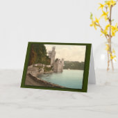 Blackrockの城。 郡コルク、アイルランド カード (黄色い花)