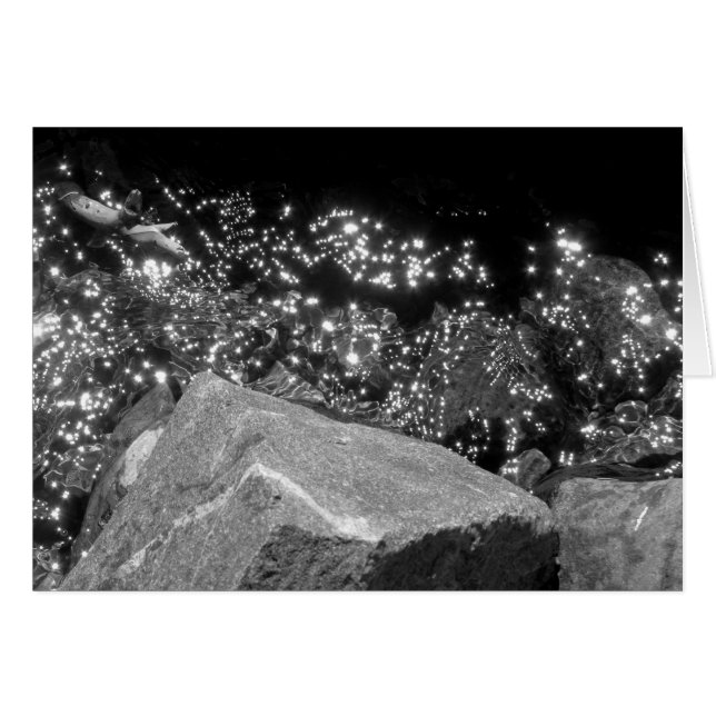 Blackwood渓谷、タホ湖 (正面横)