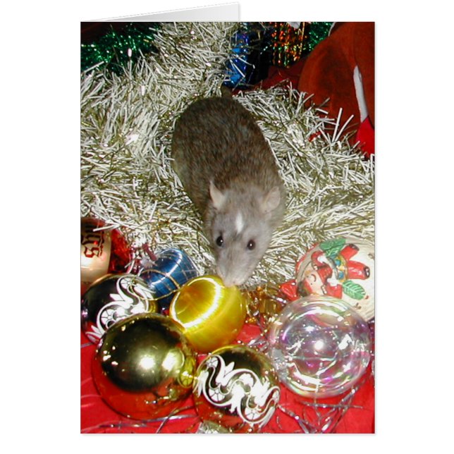 Blaizeおよびつまらないもの (正面)