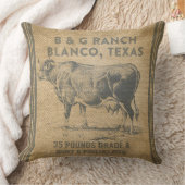 Blancoテキサス州 クッション (ブランケット)