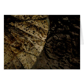 Blank_Autumnの葉の水溜