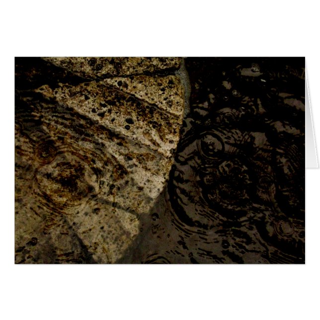 Blank_Autumnの葉の水溜 (正面横)