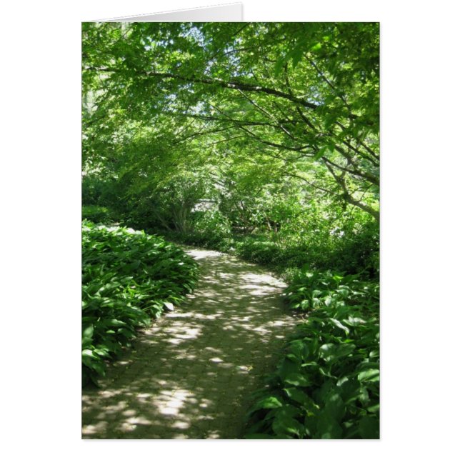 Blank_Leafyのパス (正面)