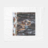 Blanket  フリースブランケット (正面(横))