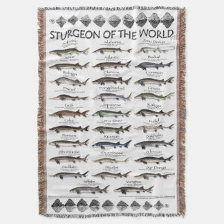 BLANKET -STURGEON OF THE WORLD POSTER -FIRST EVER  スローブランケット