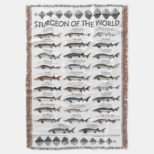 BLANKET -STURGEON OF THE WORLD POSTER -FIRST EVER スローブランケット (正面縦)