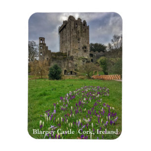 Blarneyの城のコルク、アイルランドの磁石 マグネット