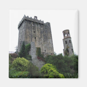 Blarneyの城及びタワーのコルク、アイルランドの磁石 マグネット