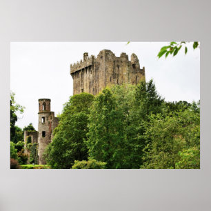 Blarneyの城、アイルランド ポスター