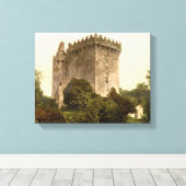 Blarney Castle Cork, Ireland c1900,ヴィンテージプリント キャンバスプリント (インサイチュ (ウッドフロア))